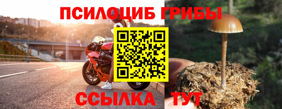 Галлюциногенные грибы Magic Shrooms Барнаул