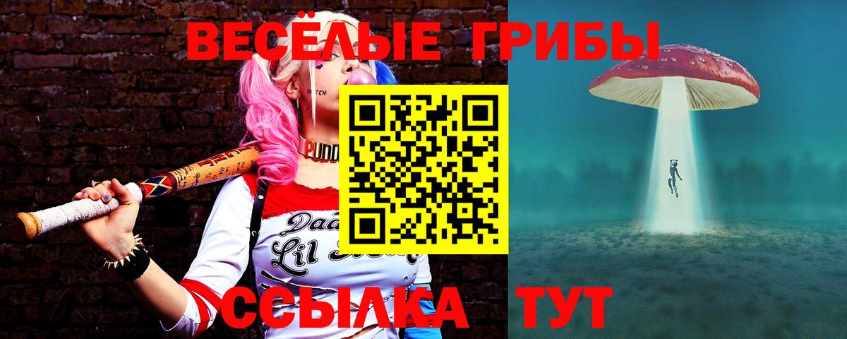 Псилоцибиновые грибы MAGIC MUSHROOMS  Вход с VPN  Барнаул 